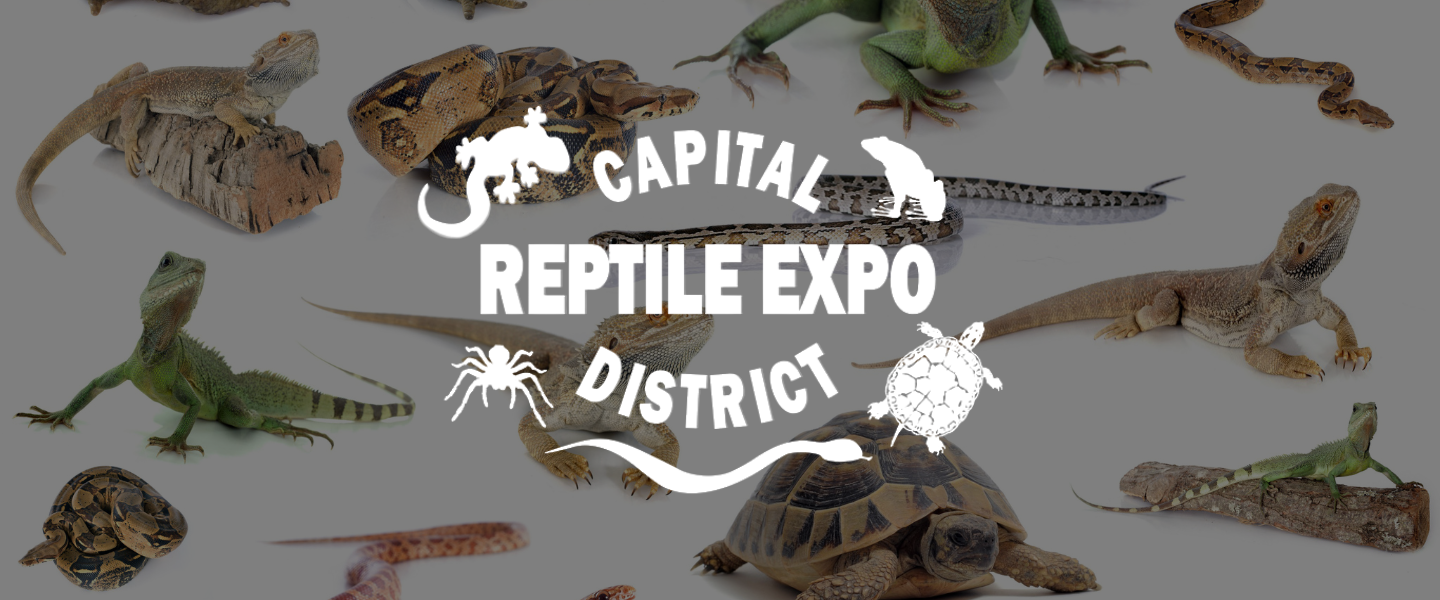 Reptile Expo Albany Capital Center