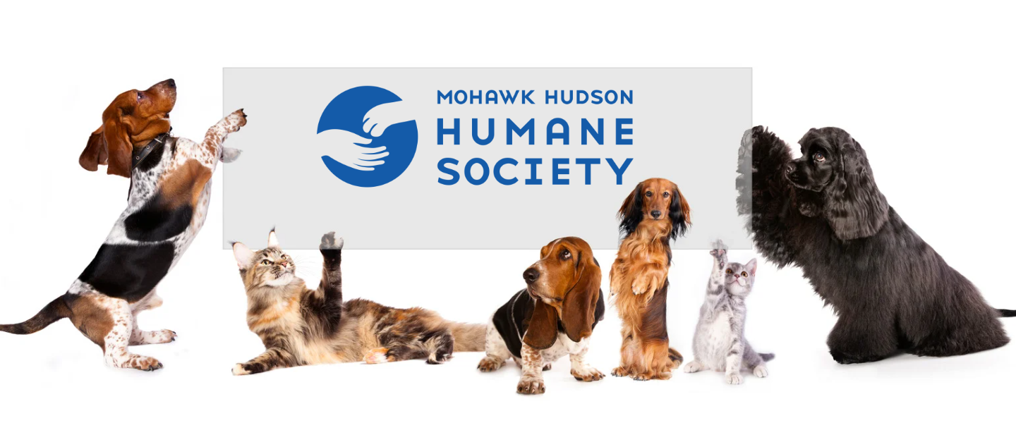 Mohawk Hudson Humane Society Gala