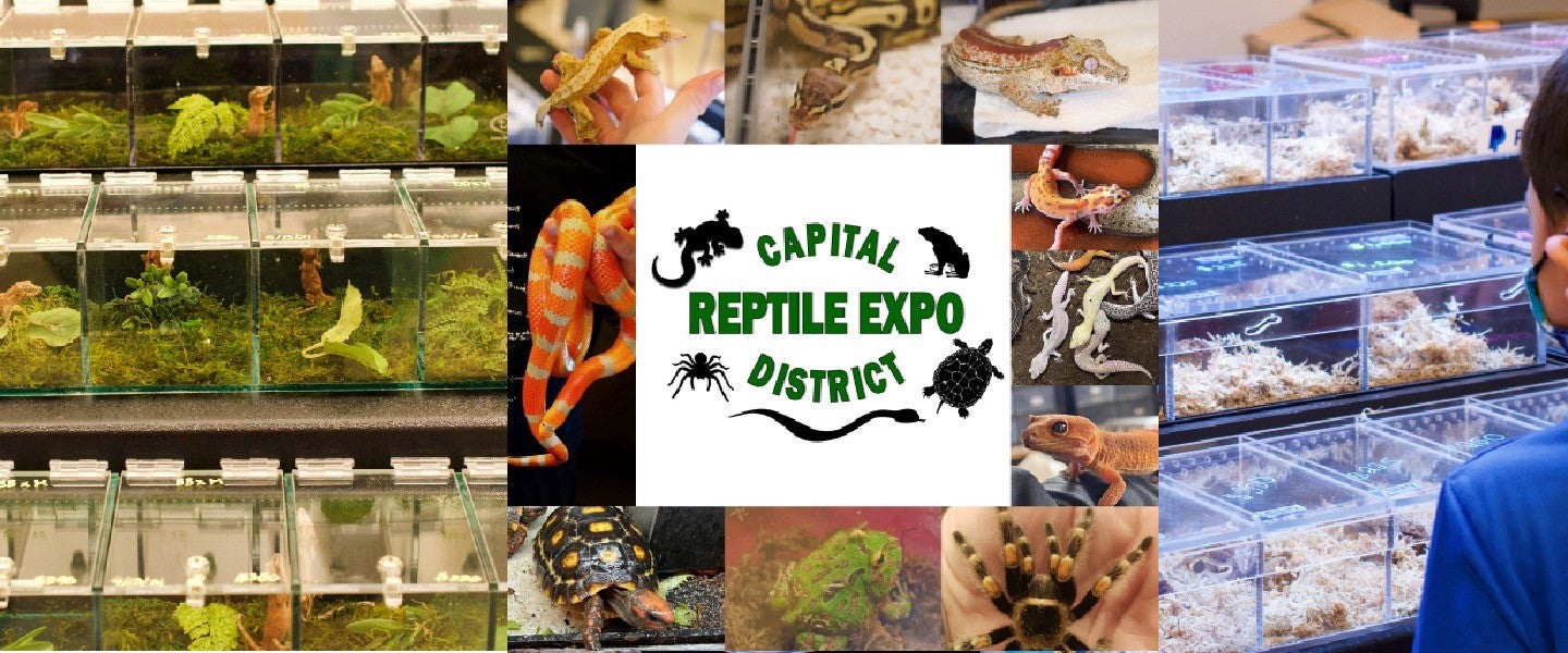 Capital District Reptile Expo