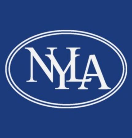 More Info for NY Library Association Advocacy Day 