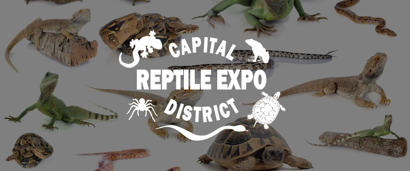 More Info for Capital District Reptile Expo 